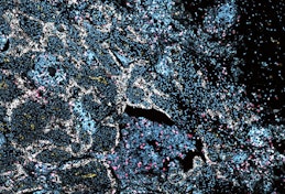 Thumbnail image for news item