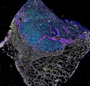 Data image