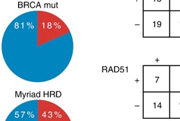 Immunogenomic profiling determines responses to combined PARP and PD-1 inhibition in ovarian cancer.