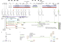 Evolution of delayed resistance to immunotherapy in a melanoma responder.