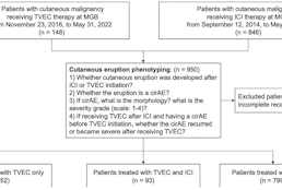 Increased risk of cutaneous immune-related adverse events in patients treated with talimogene laherparepvec and immune checkpoint inhibitors: A multi-hospital cohort study