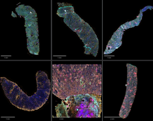 Thumbnail image for news item