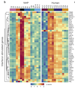 Multiplexed proteomics and imaging of resolving and lethal SARS-CoV-2 infection in the lung.