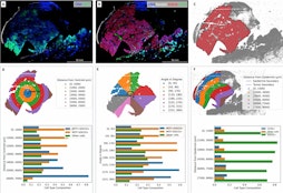 SpatialCells: Automated profiling of tumor microenvironments with spatially resolved multiplexed single-cell data.